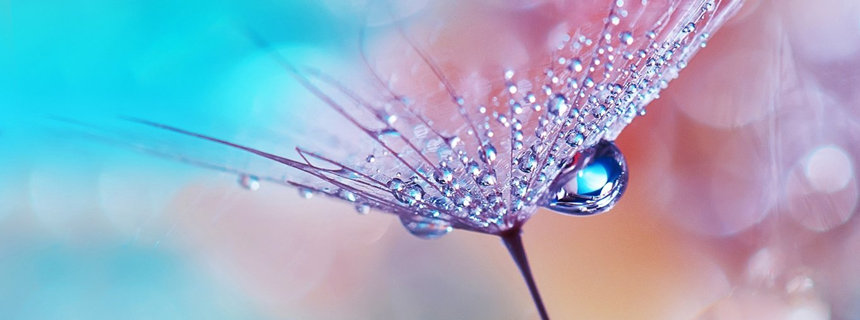 团体心理辅导和一对一咨询